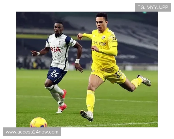 塞内西与热刺达成加盟协议 保级后签约